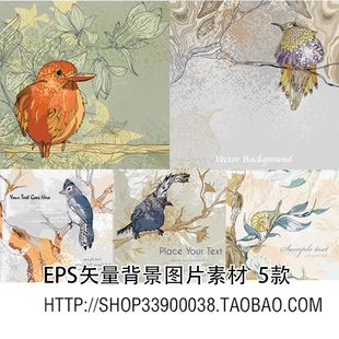 EPS矢量图片素材 花鸟背景中国风花卉和鸟类图案 设计参考素材