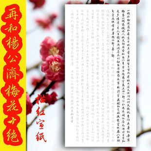 再和杨公济梅花十绝临摹宣纸赵孟頫梅花诗行书赵体描红描摹初学者