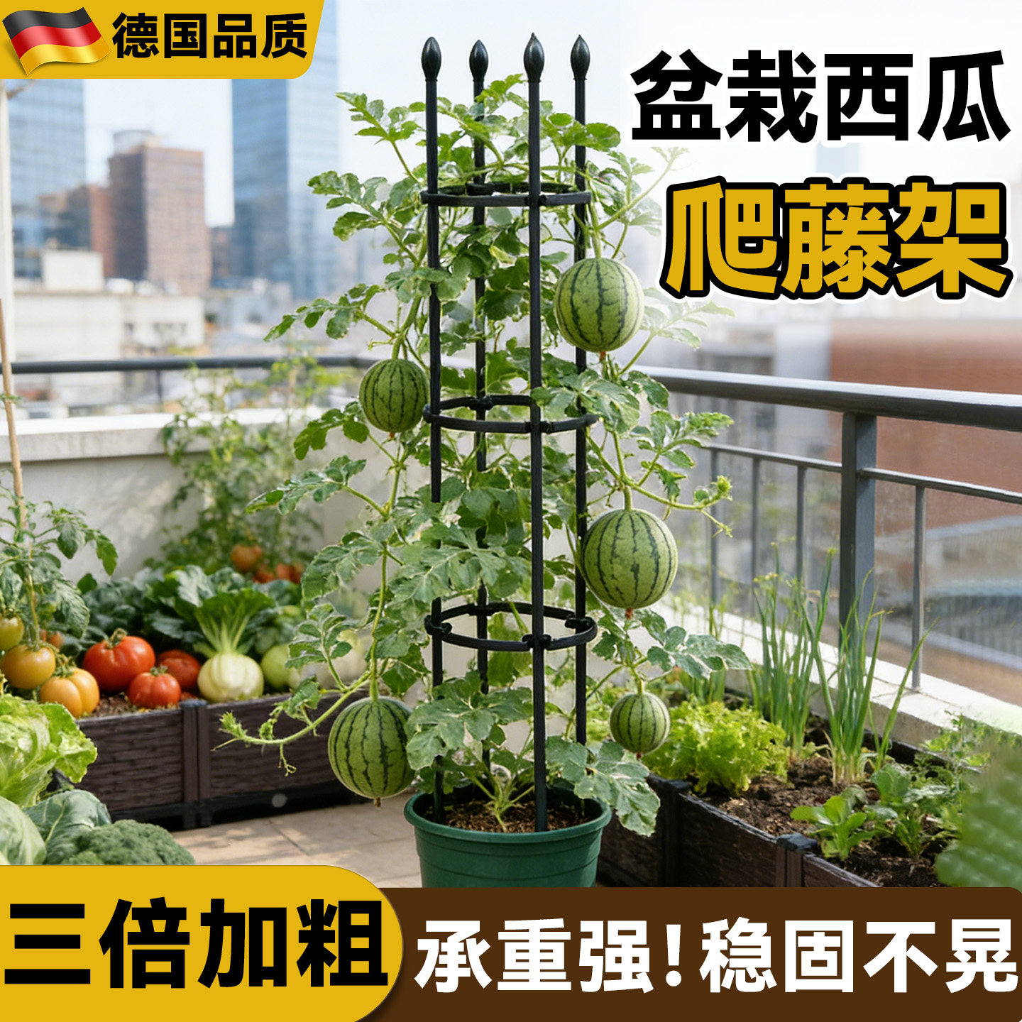 西瓜爬藤架支撑杆阳台楼顶种菜架子盆栽黄瓜西红柿攀爬架花盆支架