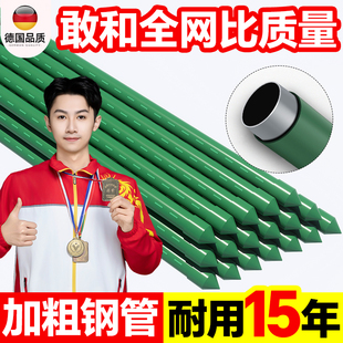 爬藤架花架葡萄番茄豆角黄瓜架子包塑钢管植物种菜搭架园艺支撑杆