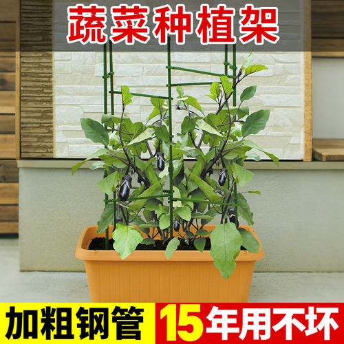 西红柿番茄架子阳台种植架