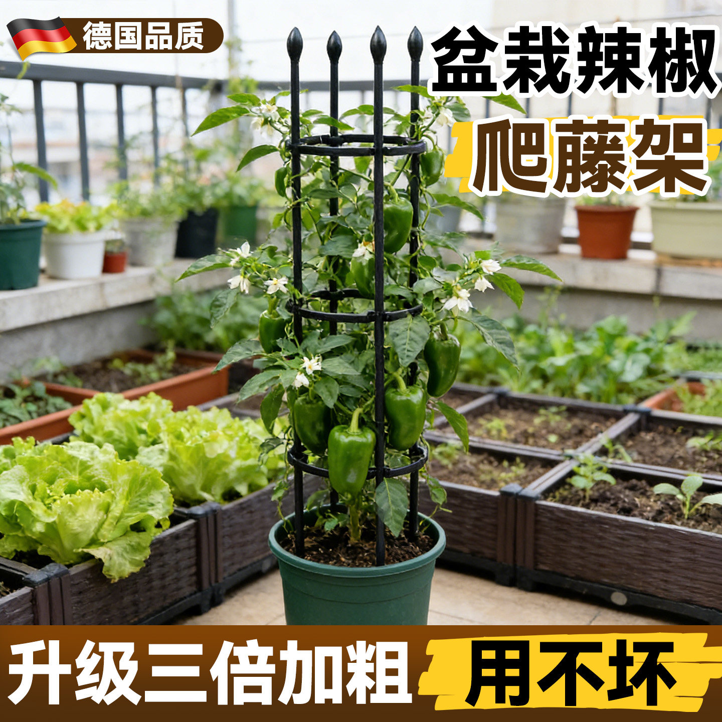 辣椒盆栽爬藤架黄瓜西红柿支架子阳台楼顶种菜架子葡萄花盆支撑架图片