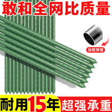 爬藤架花架包塑钢管月季豆角西红柿黄瓜园艺固定杆葡萄植物支撑架