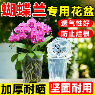 蝴蝶兰专用花盆高透明青山盆文心兰盆透明钵观根花盆控根盆兰花盆