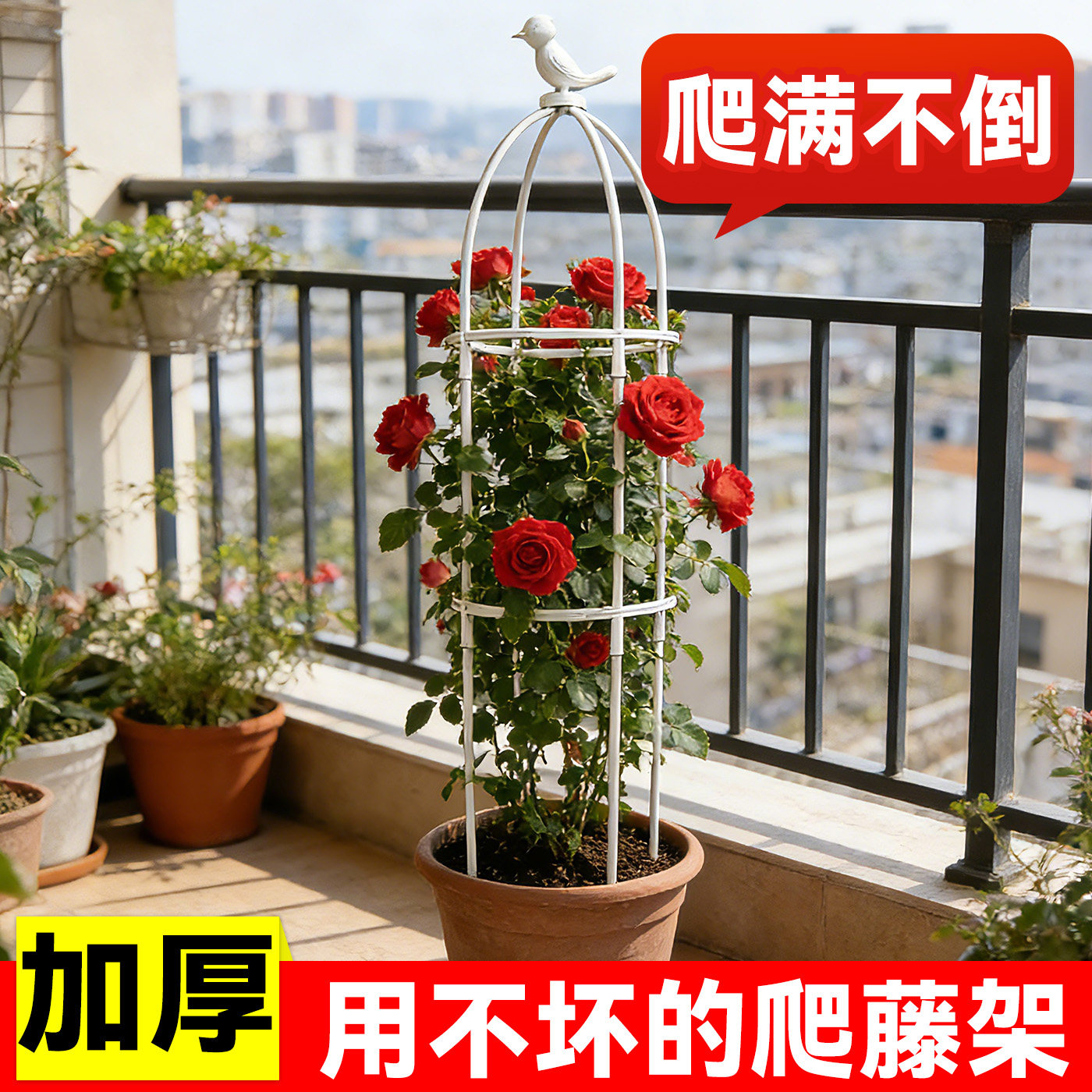 花架爬藤支架花盆园艺支柱月季铁线莲球兰绿萝植物防倒攀爬支撑杆