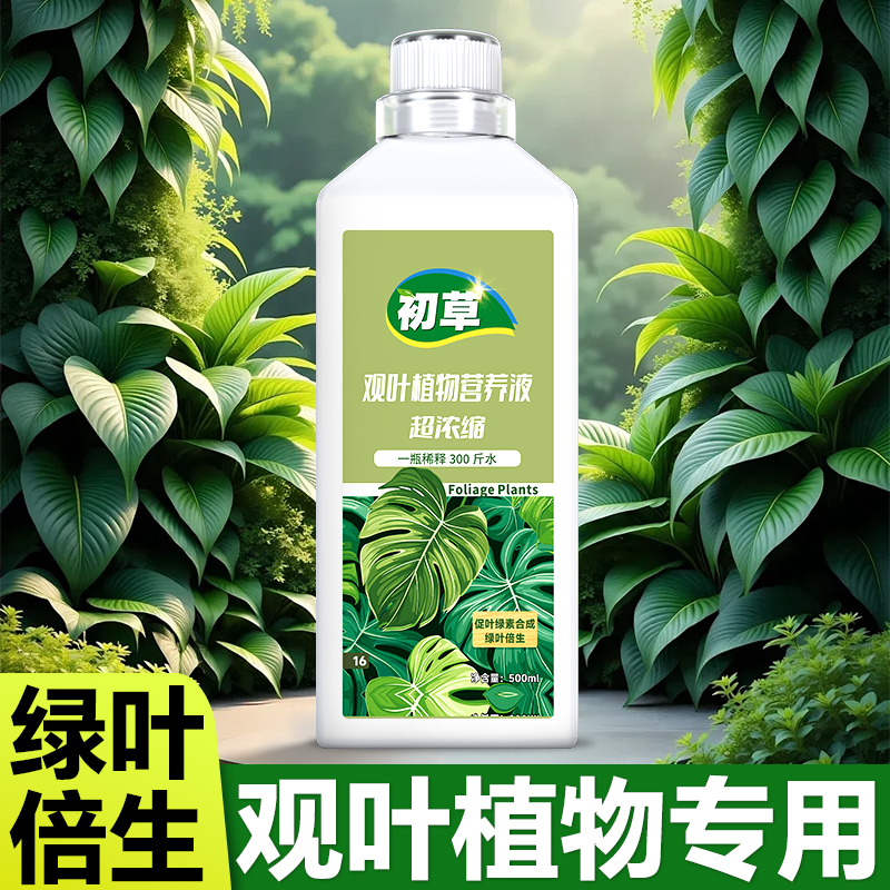 观叶植物通用型营养液专用肥万年
