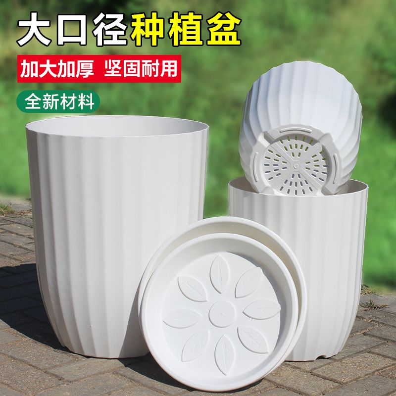 仿陶瓷花盆白色竖纹高筒塑料花盆天堂鸟金钱树专用花盆室内大绿植