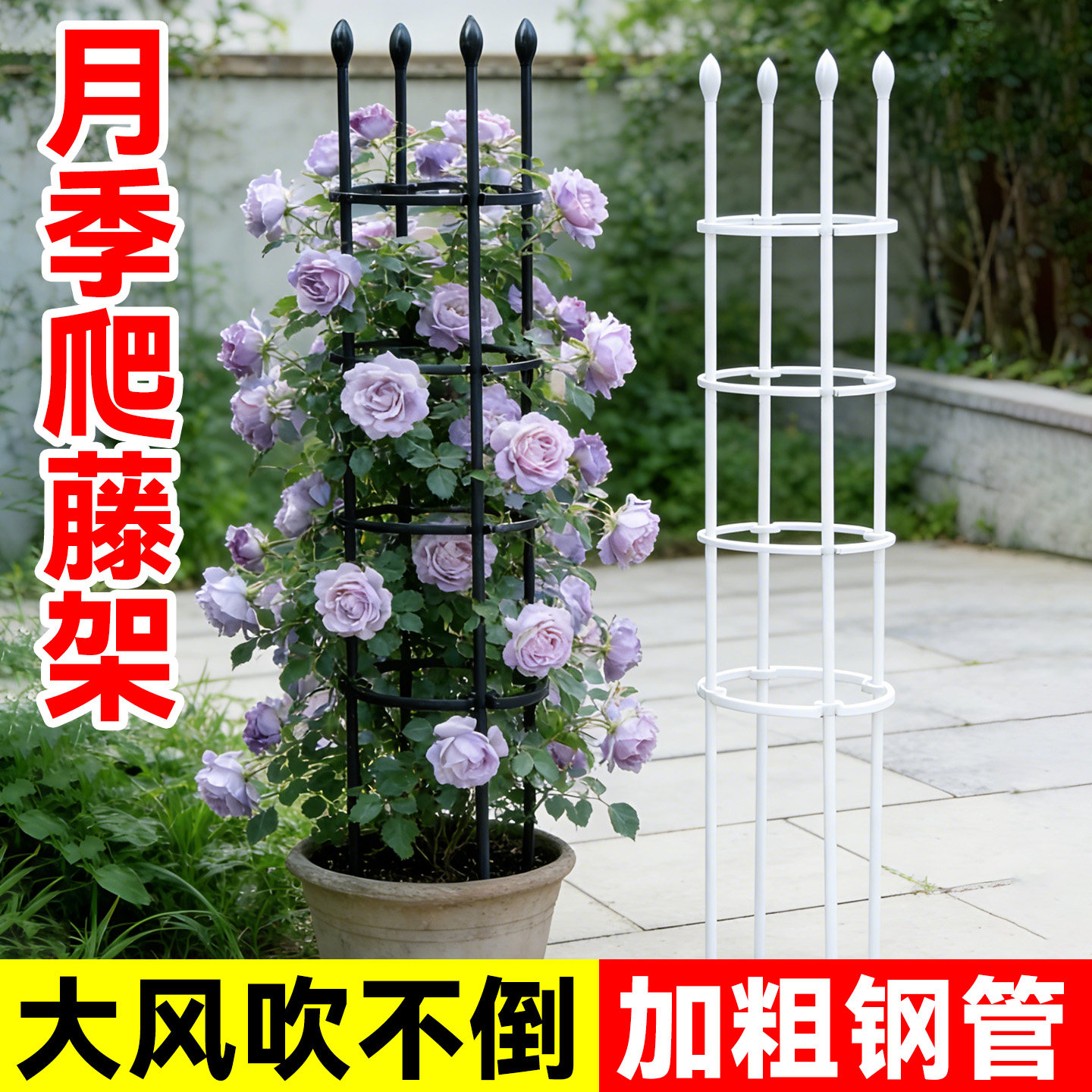 月季爬藤架阳台铁艺爬藤花架铁线莲花盆支架子园艺支柱植物支撑杆