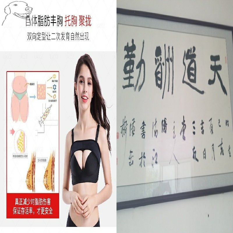 透气隆胸术后假体固定绷带内衣女自体脂肪丰胸塑胸上衣塑形束乳带