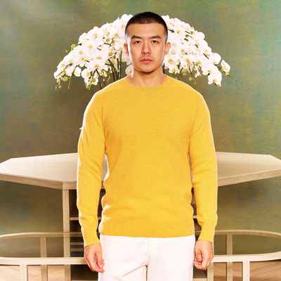 AllenXie粗针圆领山羊绒衫