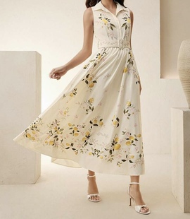 休闲女士简约无袖 外贸单2026春季 时尚 精美印花百搭个性 连衣裙 新款