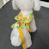 宠物胸背带牵引绳背心裙泰迪比熊博美小型犬狗狗猫咪春夏外出衣服