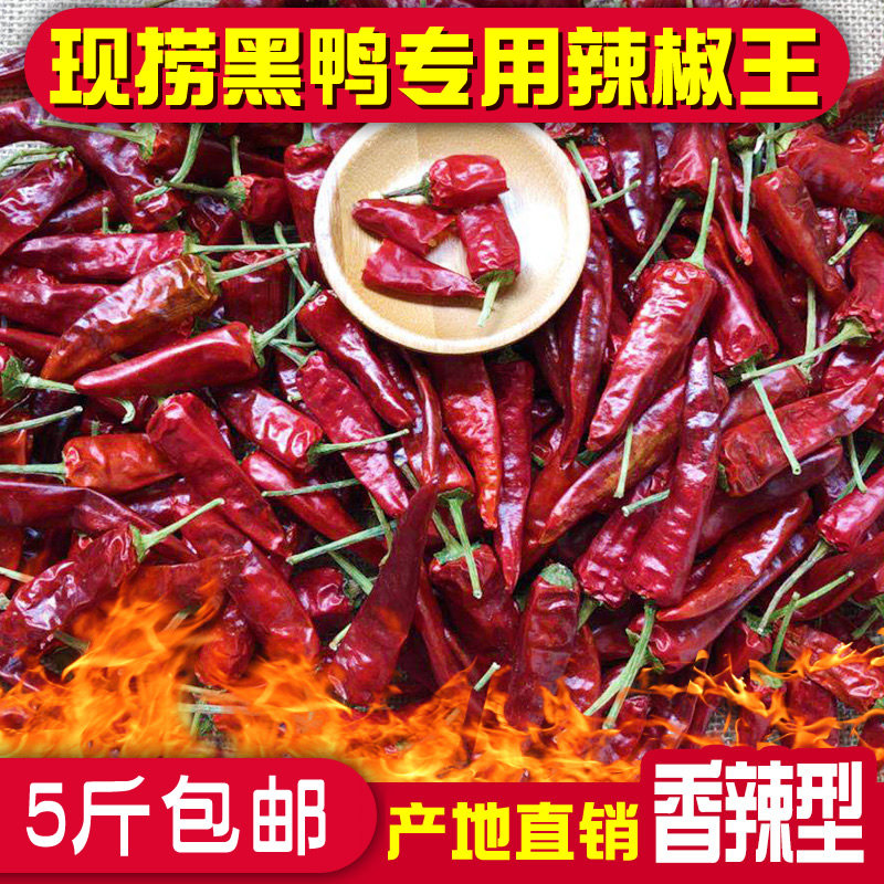福建辣椒王香辣现捞专用辣椒王特辣周黑鸭久久鸭脖散装干辣椒500g
