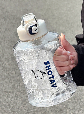 大容量水杯杯子吨吨桶女生高颜值带吸管大肚杯运动健身水壶学生男