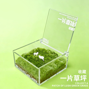 桌面苔藓微景观懒人绿植盒子创意可爱小摆件简单好养趣味植物礼物