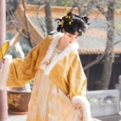 新款 全套华丽日常汉服 唐制短袄齐胸裙冬款 汉服 〈云祈〉