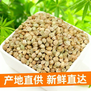 内蒙古特产熟火麻子仁原味椒盐人吃炒熟大颗粒火麻籽营养办公休闲