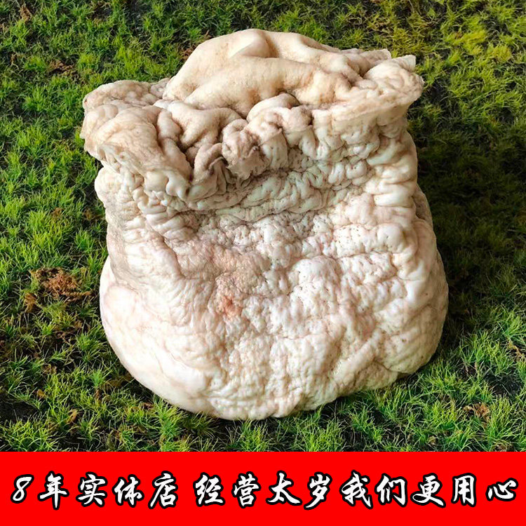 【千年精品老肉太岁】太岁 肉灵芝 活体 野生 整体 6斤 特漂亮