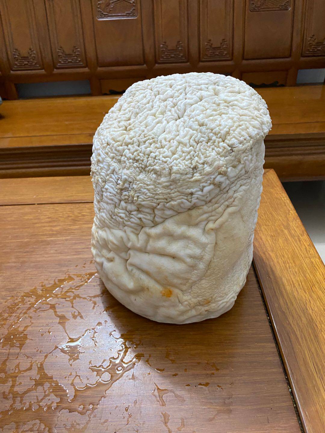 【长白山千年精品白肉太岁】太岁肉灵芝 野生 11.5斤 皱褶漂亮