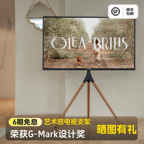 北弧北狐落地移动实木电视支架