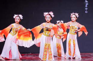 俏红狐同款儿童古典舞演出服少儿扇子舞蹈表演服小狐仙独舞表演服