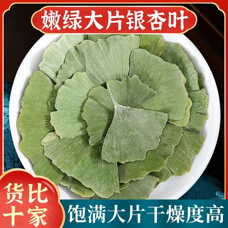 银杏叶精选纯天然中药材银杏树叶原色完整大片叶干净无杂晾晒干燥