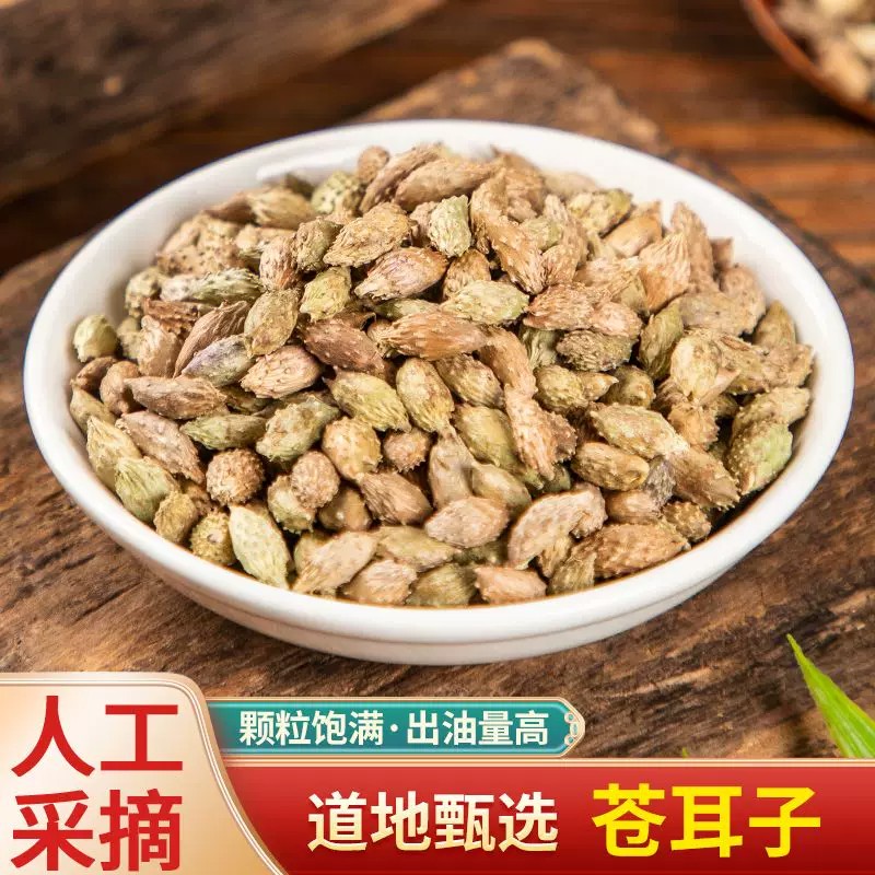 正宗苍耳子精选纯天然中药材晾晒干燥手工采摘高出油粒大饱满原色