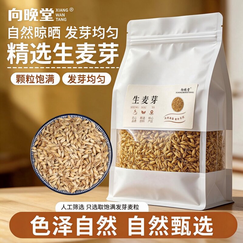 大颗生麦芽发芽阳光晾晒麦香纯天然无硫干货麦芽饱满中药材无杂质