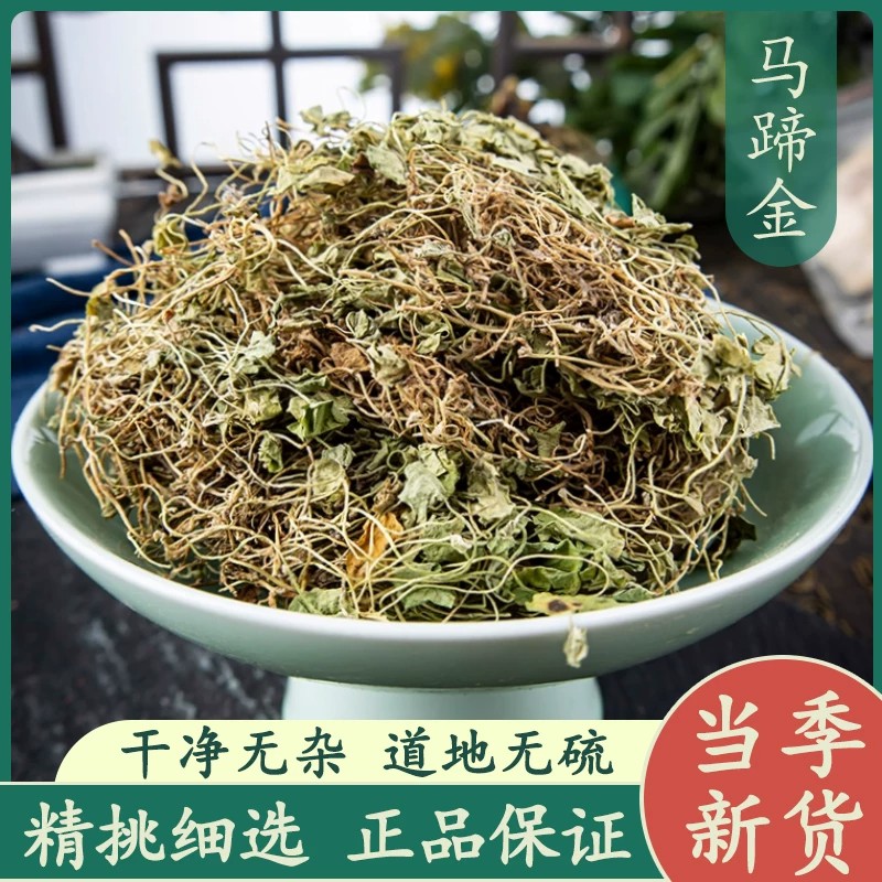 正品马蹄金中药材新货晒干又名鱼脐草荷包草黄胆草小金钱草螺丕草