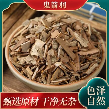 鬼箭羽纯天然当季新货中药材六月凌鬼箭羽无硫熏自然晾晒干燥无杂