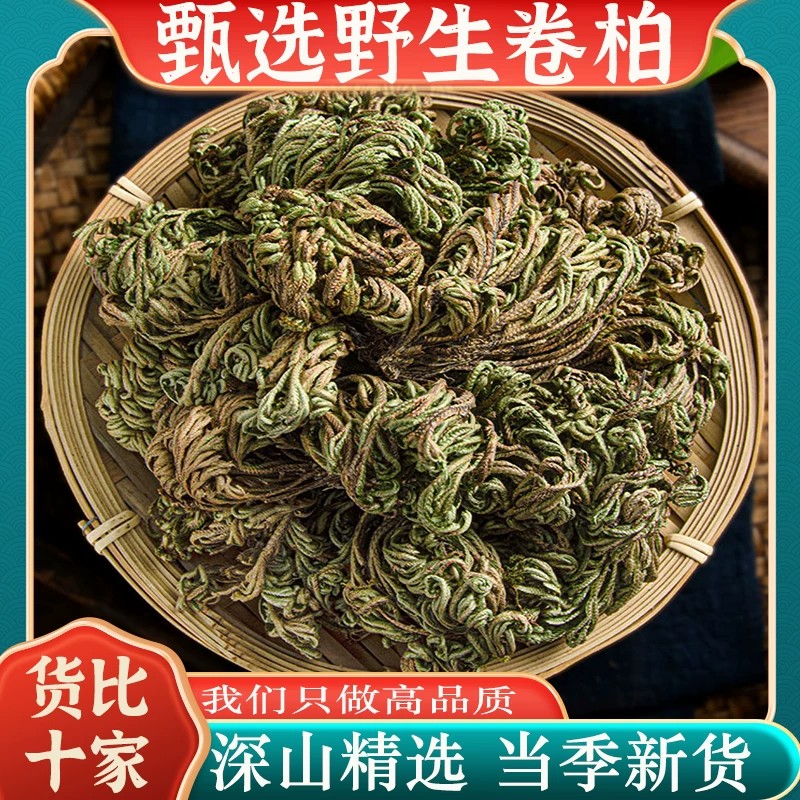 精选卷柏中药材九死还魂草小叶石柏正品纯天然整颗清洗干净无硫熏