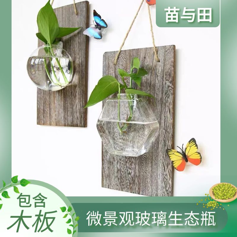 热卖新品水培玻璃花瓶墙壁装饰绿萝植物插花瓶小鱼缸创意家居