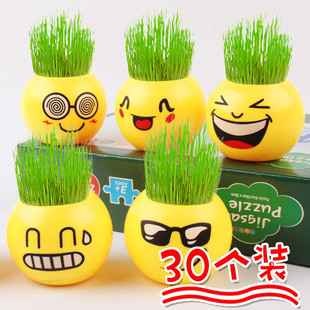 头顶长草儿童植物种植盲盒幼儿园科学观察实验礼物幼儿园小礼品