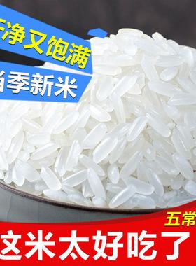 DB五常稻花香米20斤装【新米】22年新大米东北长粒米稻香米10斤