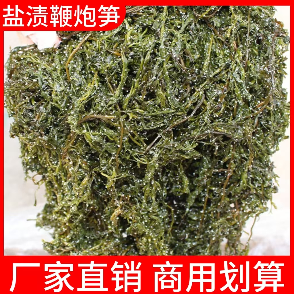 盐渍鞭炮笋新鲜马尾藻长寿菜盐渍海藻菜凉拌火锅海带商用家用