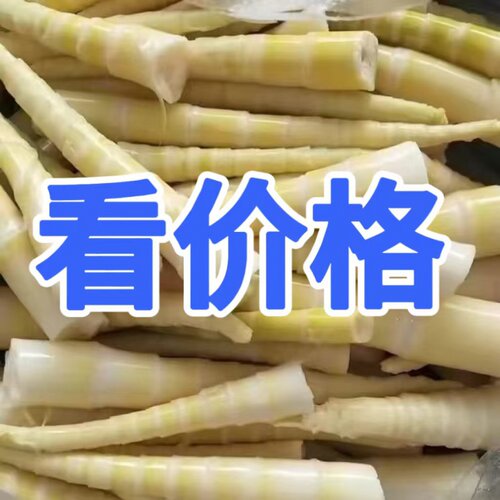 火锅配菜食材串串笋竹笋笋尖冒菜竹笋笋尖下饭菜
