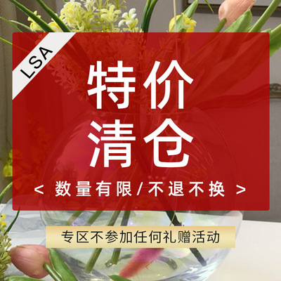 LSA玻璃花瓶客厅插花摆件进口