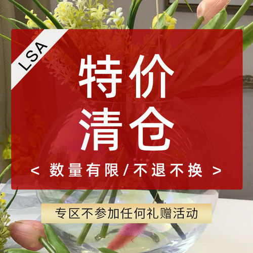 LSA玻璃花瓶客厅插花摆件进口
