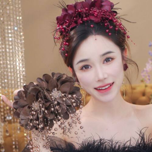 [灿花]原创设计入冬发夹羽毛轻奢显发量高级感抓夹后脑勺鲨鱼夹子