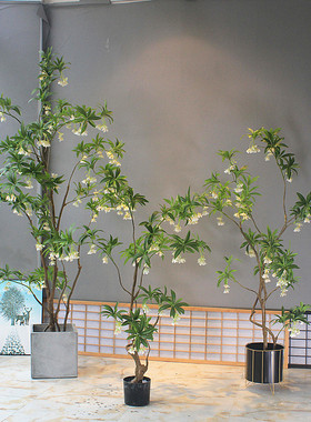 高端仿真绿植物水石榕酒店名宿大客厅店铺茶室橱窗落地花艺装饰树