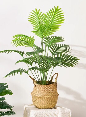 仿真绿植小盆栽龟背散尾葵客厅室内落地摆件装饰假花植物桌面摆设