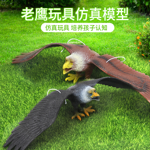 大号仿真老鹰模型塑胶仿真动物阳台果园驱鸟吓鸟神器玩具金雕大雁