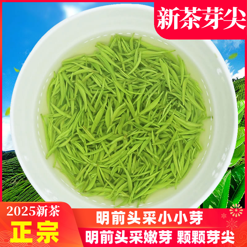 2025新茶信陽毛尖明前特級小小芽