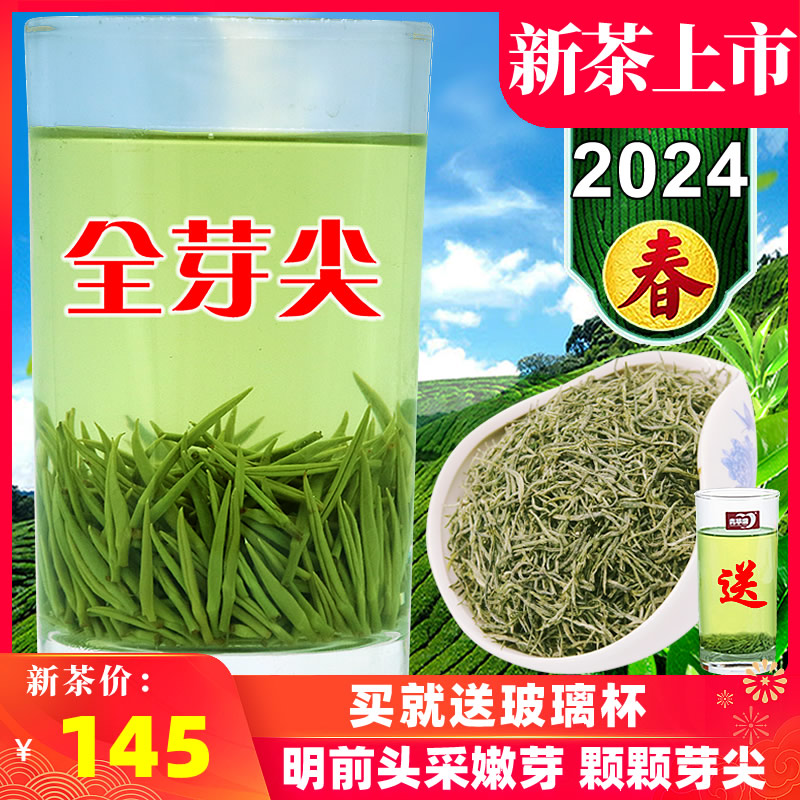 2024新茶信阳毛尖特级嫩芽全芽尖