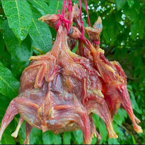 广东台山广式腊味鹌鹑干