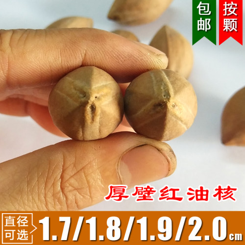 周正圆核手串原籽橄榄大胖核
