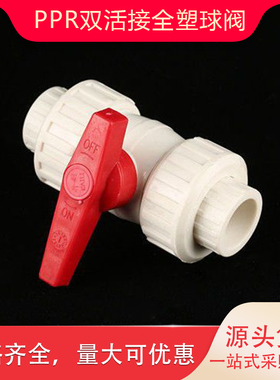ppr双活接全塑球阀20 4分6分1寸50热熔全塑高密度阀门水管配件