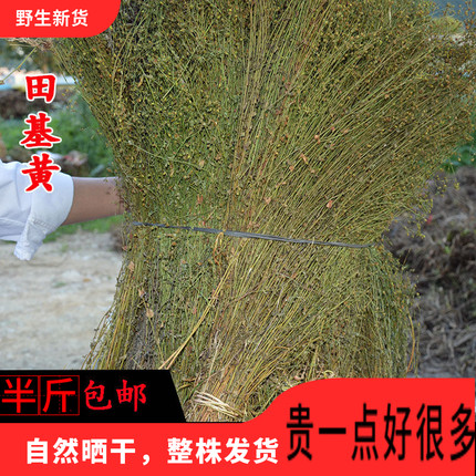 田基黄 田基王干货中草药新鲜当季新货地耳草雀舌草光明草散装