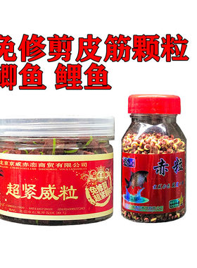 京威赤恋赤粒威鲫鱼免修剪小颗粒