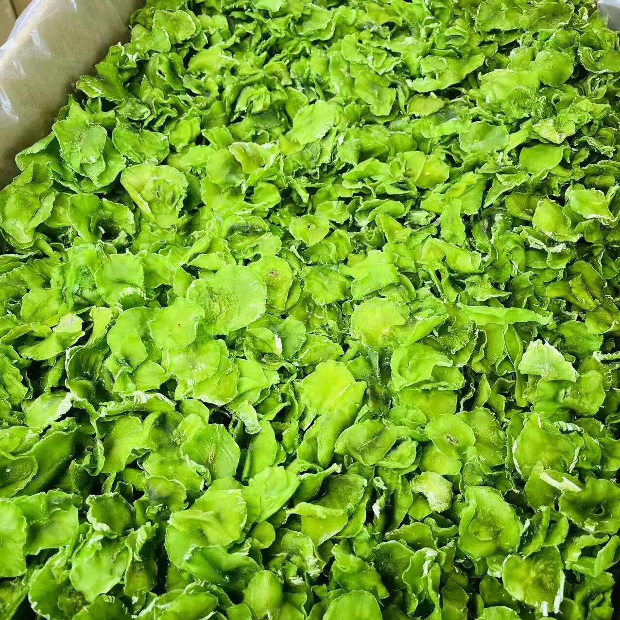 温州特产莴笋干农家自制莴苣干片干货土特产脱水蔬菜干非贡菜苔干